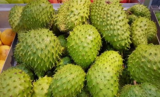 Manfaat Buah Sirsak untuk Kesehatan