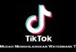 Cara Mudah Menghilangkan Watermark TikTok