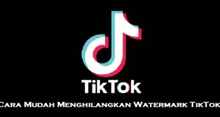 Cara Mudah Menghilangkan Watermark TikTok