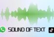 Sound of Text, Rekomendasi Situs Pengubah Teks Menjadi Suara dengan Berbagai Bahasa dan Suara yang Berkualitas