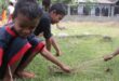 Cara Mengajari Anak Mencabut Rumput di Depan Rumah